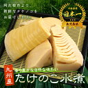 送料込み 九州産 たけのこ 竹の子 筍 水煮 トライカット 120g×5袋セット 上野食品 国産 国内産 業務用 2