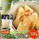 【最大200円OFFクーポン】 九州産 たけのこ 竹の子 筍 水煮 トライカット 120g 上野食品 国産 国内産 業務用