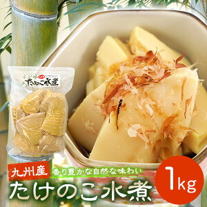 九州産産 たけのこ 竹の子 筍 水煮 1kg 上野食品 国産 国内産 業務用