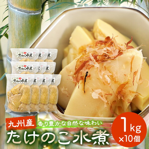 業務用 送料込み 九州産 たけのこ 竹の子 筍 水煮 1kg×10袋セット 上野食品 国産 国内産