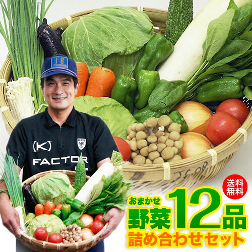 楽天かごしま産直便【送料無料】レビュー4.6以上 九州 鹿児島 野菜セット 詰め合わせ12品