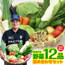 【送料無料】レビュー4.6以上 九州 鹿児島 野菜セット 詰