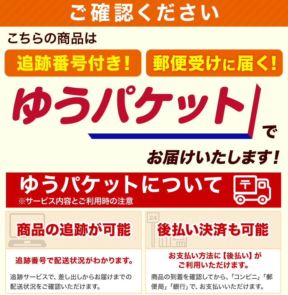 メール便 無料 無添加 だしパック だし汁 まるた屋 枕崎だしの素 20包だしの素・鰹節・かつおだし