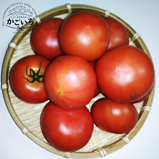 訳ありトマト＜吉祥庵園芸＞