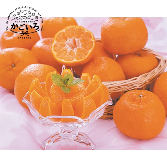 【予約中！】屋久島ぽんかん（3kg）＜F＆Gさくらじま＞