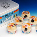 本家白熊セット<天文館むじゃき>