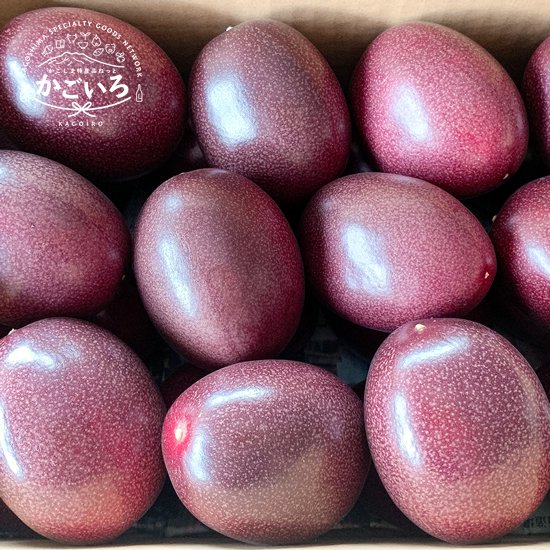 奄美大島産　パッションフルーツ2Kg（M玉・L玉サイズ混合）＜kashiwa farm＞