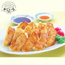 鹿児島黒豚餃子(60個)<グルメ・スタジアム>