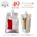 RSシャンプー1000ml&NCトリートメント300g ルフラ49セット<ベルかのや>