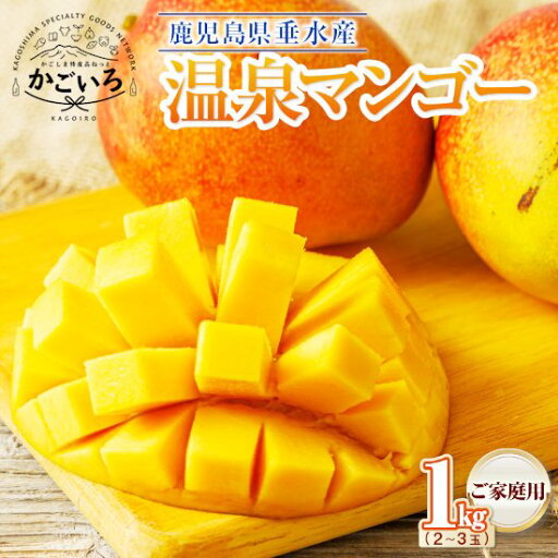 ◆【予約中】温泉マンゴーご家庭用1kg<財宝> ◆【予約中】温泉マンゴーご家庭用1kg<財宝>
