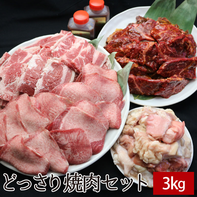 どっさり焼肉セット 3kg BBQカルビ たれ漬けハラミ焼肉 特選牛タンスライス 国産牛ミックスホルモン 焼肉のたれ付 【送料無料】 牛肉 焼き肉 鉄板焼 バーベキュー スライス ギフト パーティー …