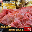 黒毛和牛A5等級切り落とし810g（270g×3P）【送料無料】▼国産 国産牛 牛肉 すき焼き しゃぶしゃぶ 鍋 焼肉 焼き肉 鉄板焼 スライス ギフト 訳あり プレゼント 贈答 あす楽 のし お祝い 御祝 お礼 お取り寄せ 夏ギフト お中元 御中元