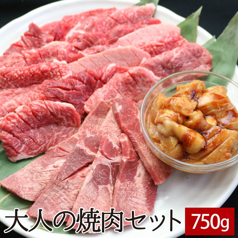 大人の焼肉セット 750g(黒毛和牛焼肉切り落とし,厚切り特上牛タン,たれ漬けミックスホルモン)【送料無料】▼牛肉 焼き肉 鉄板焼 BBQ バーベキュー スライス ギフト セット パーティー 大人数 贈答 あす楽 のし お礼 お取り寄せ お歳暮 御歳暮 御年賀 冬ギフト