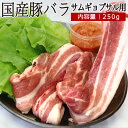 国産豚バラ サムギョプサル用 250g ▼国産 国産豚 豚肉 ロース 豚ロース 焼肉 焼き肉 鉄板焼 BBQ バーベキュー スライス 韓国料理 あす楽