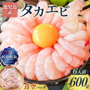鹿児島産 タカエビ 600g 6人前 真空 パック 高海老 たかえび 海老 エビ 刺身 味噌汁 塩焼き 天ぷら フライ 魚介類 魚介 美味しい 酒の肴 冷凍 新鮮 有頭 ノンドリップ 急速冷凍 薩摩 甘えび 津曲商店 鹿児島 おすすめ ランキング プレゼント ギフト