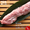送料無料 鹿児島黒豚 短鼻豚 ヒレ ブロック 短鼻豚 約5kg(10~13本) 黒豚 豚肉 豚 肉 ヘレ ヒレカツ ひれかつ お肉 冷凍 料理用 調理 美味しい 絶品 ストック 国産 おいしい 柔らかい やわらかい 訳あり とんかつ 九州 高級 国産