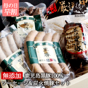 焼豚 【 母の日 早割 10%OFF 4/30まで】 無添加 ギフト 内祝い 鹿児島黒豚 ソーセージ ＆炭火 焼豚 セット 父の日 無添加ギフト 内祝 ギフトセット 食べ物 食品 グルメ 冷凍 お取り寄せ 送料無料 ウインナー お返し プレゼント 肉 高級 絶品 無添加食品 鹿児島 九州 内祝いギフト