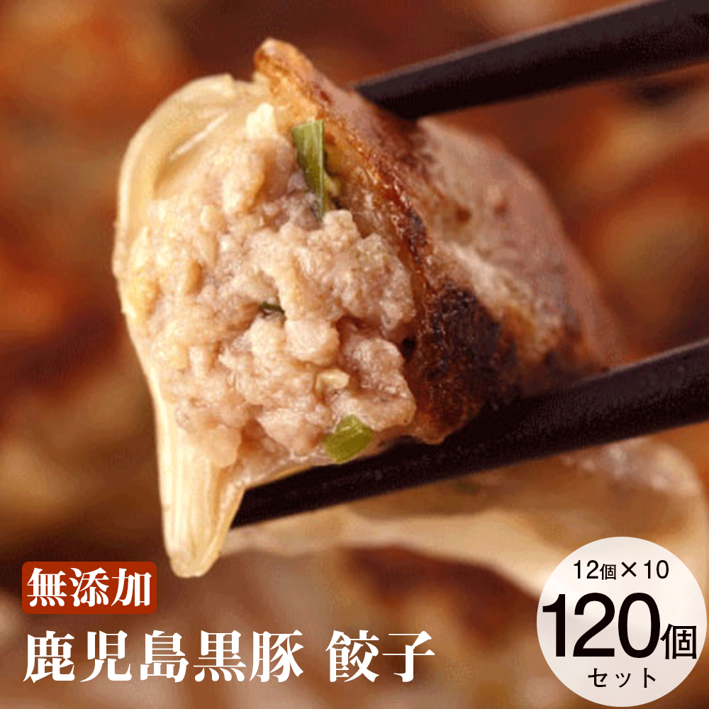 【無添加 冷凍】鹿児島黒豚 餃子 12個入り×10パック (タレ付き)【送料無料 お中元 夏ギフト お取り寄せ ギフト 黒豚餃子 食べ物 御中元 家飲み おつまみ 高級 冷凍餃子 焼き餃子 焼餃子 黒豚 餃子セット おいしい 美味しい ストック 絶品 国産 グルメ】