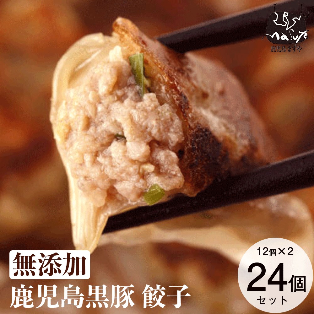 無添加 お肉たっぷり 鹿児島黒豚 餃子 24個セット 送料無料 贅沢 生餃子 冷凍餃子 中華 点心 内祝い 無添加食品 ギフト プレゼント 食べ物 冷凍餃子 無...