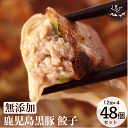 無添加 ギフト 鹿児島黒豚 短鼻豚 贅沢黒豚 生餃子 48個セット (タレ付) 内祝い 母の日 餃子 惣菜 冷凍餃子 中華 点心 冷凍 お取り寄せ 食べ物 お返...
