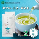 【送料無料】霧島茶 霧島金印 2本セット 100g×2 | 緑茶 お茶 緑茶 茶葉 日本茶 煎茶 浅蒸し茶 溝辺 浅蒸し 浅むし 浅むし茶 鹿児島茶 鹿児島 ブレンド茶 茶 きりしま おちゃ 高級 高級茶葉 お茶っ葉 お茶葉 日本産 国産 健康茶 ギフト プレゼント 御歳暮 お歳暮