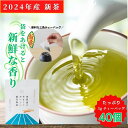 新茶 2024 予約 【送料無料】あまくておいしい鹿児島茶ティーバッグ(5g×40P) 200g 水出し緑茶 | 煎茶 冷茶 緑茶 お茶 緑茶 日本茶 老舗 お徳用 鹿児島 ブレンド茶 茶 ちらん 知覧 おちゃ 高級 高級茶葉 お茶っ葉 茶葉 お茶の葉 日本産 国産 健康茶 ギフト プレゼント