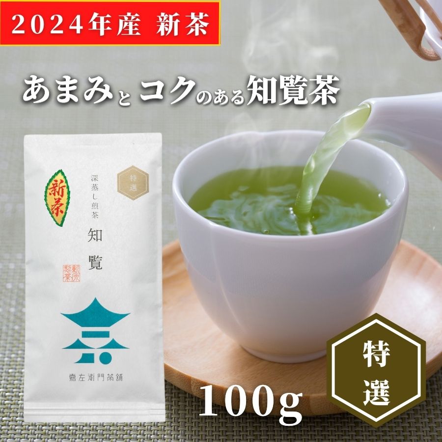 新茶 2024 予約 【送料無料】知覧茶 