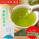 新茶2024 予約 茶問屋のあまくておい