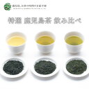 新茶 2025【送料無料】定番煎茶 3種飲み比べセット 知覧茶 霧島茶 嘉左衛門 特選 各100g | 緑茶 お茶 緑茶 茶葉 日本茶 煎茶 深蒸し 深むし 浅蒸し 浅むし 鹿児島茶 茶 おちゃ 高級 高級茶葉 お茶っ葉 お茶葉 日本産 国産 健康茶 ギフト プレゼント 父の日