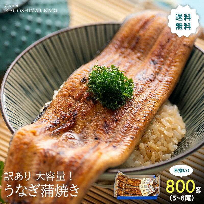 サイズ不揃いうなぎ蒲焼き800g(5尾～6尾)｜スタミナ満点！生産量日本一の鹿児島県産のうなぎ！国産 鰻 蒲焼き 訳あり 訳アリ 自宅用のサムネイル