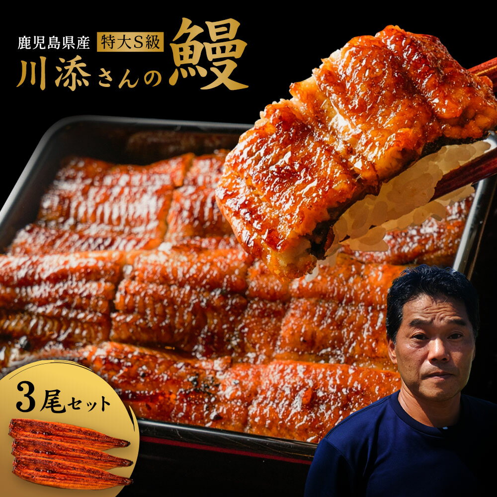 【ふるさと納税】 ふりかけ 缶詰 高級 贈答 ギフト 受注生産 焼津 30g×2缶 口どけ 桐箱入り a40-004