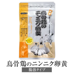 ニンニク卵黄 にんにく卵黄 鳥骨鶏のニンニク卵黄 腸溶タイプ 300mg×62粒 国産 烏骨鶏卵 無添加 JAS認定有機栽培ニンニク サプリ 鹿児島 健康クラブ かごしまや