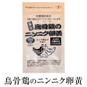 ニンニク卵黄 にんにく卵黄 鳥骨鶏のニンニク卵黄 300mg×30粒×10セット国産 有機にんにく 烏骨鶏卵 無添加 JAS認定有機栽培ニンニク サプリ 鹿児島 健康クラブ かごしまや