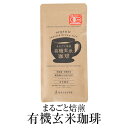 玄米コーヒー オーガニック まるごと焙煎有機玄米珈琲 100g ×2 メール便 無添加 食物繊維 デトックス 美容 ミネラル 日本ふるさと屋 かごしまや