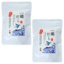 【20包×2袋セット】だしパック 無添加 国産 無塩 天然 一郷だし 8g × 20包 × 2袋 メール便 出汁 だし ダシ 出汁パック ダシパック 粉末 パウダー ギフト 手土産 お返し 鹿児島 日本ふるさと屋 タビグルメ