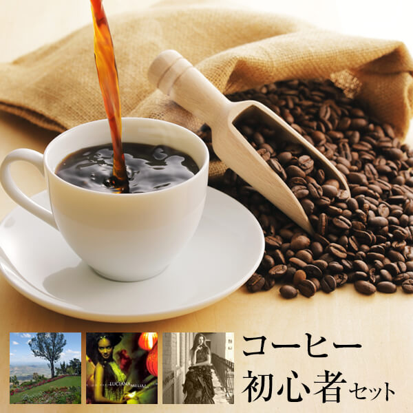 コーヒー 初心者 後味 コーヒー初心者向け 各 100g 3個セット メール便 ネコポス便 豆 お試し ドリップ 送料無料 気品 贅沢 珈琲豆専門店mikoya134 かごしまや 父の日