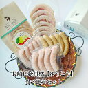 長崎伝統柑橘 ゆうこう 食べ比べセット 豚肉 おかず おつまみ お弁当 贈り物 ギフト プレゼント お取り寄せ 国産 九州 長崎 送料無料 GrisHauseNAGASE タビグルメ