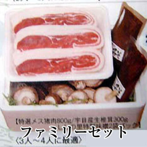 ファミリーセット 3人~4人前 特選メス猪肉 椎茸 ぼたん鍋 牡丹鍋 ジビエ 国産 九州産 大分 天然猪 冷凍 ギフト プレゼント 送料無料 みやもと タビグルメ ファミリーセット 3人~4人前 特選メス猪肉 椎茸 ぼたん鍋 牡丹鍋 ジビエ 国産 九州産 大分 天然猪 冷凍 ギフト プレゼント 送料無料 みやもと タビグルメ