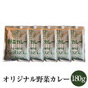 オリジナル野菜カレー 180g 5食セット レトルト 食品 保存食 常温 非常食 簡単調理 sabzi サブジ かごしまや 父の日 母の日