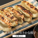 餃子 出水田鮮魚のおさかな餃子 36個入り 国産 冷凍 カンパチ 真鯛 魚 ギフト プレゼント お祝 お取り寄せ 魚屋 出水田鮮魚 タビグルメ