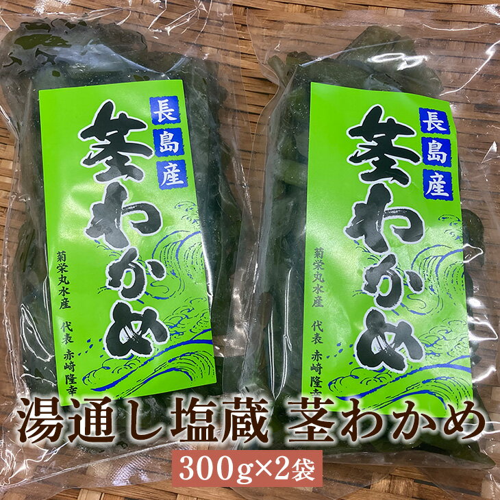 父の日 湯通し塩蔵茎わかめ 300g×2 ワカメ わかめ 茎わかめ 長島 阿久根 東町漁協 鹿児島県産 魚介類 お取り寄せ 国産 さるがく水産 かごしまや