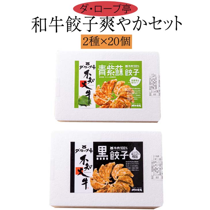 父の日 餃子 和牛餃子爽やかセット（黒餃子、青紫蘇餃子）19g×40個 送料無料 ぎょうざ ギョウザ 和牛 熊本 美味しい 冷凍 お土産 グルメ ギフト プレゼント 綱田牧場 かごしまや