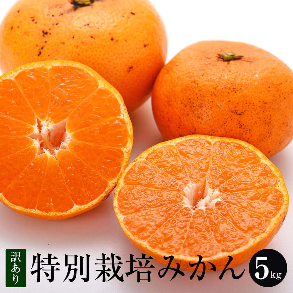 【訳あり】特別栽培 温州みかん 5kg 大きさ色々 送料無料 熊本県産 熊本 みかん 高級 美味しい 甘い みかん ファームオリンピア タビグルメ