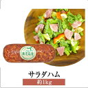 ハム サラダハム 約1kg 詰め合わせ セット サラダ 豚 国産 モモ 肉 ギフト 贈答 送料無料 ナンチク かごしまや