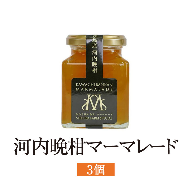ジャム マーマレード 河内晩柑マーマレード 180g 3個入 金柑 柑橘 フルーツ 使い切り 国産 九州産 鹿児島産 送料無料 ギフト箱なし 清木場果樹園 タビグルメ