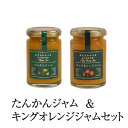 ジャム たんかんジャム & キングオレンジジャム セット 150g & 150g 2個入 フルーツ 使い切り 国産 九州産 鹿児島産 送料無料 ギフト箱なし 清木場果樹園 かごしまや 父の日 母の日