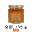 金柑しょうが茶 190g 2個入 金柑 フルーツ お茶 使い切り 国産 九州産 鹿児島産 送料無料 ギフト箱なし 清木場果樹園 タビグルメ