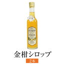 金柑シロップ 300ml 2本入 きんかん フルーツ リキュール 使い切り 国産 九州産 鹿児島産 送料無料 ギフト箱なし 清木場果樹園 タビグルメ