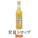 甘夏シロップ 300ml 2本入 あまなつ フルーツ リキュール 果汁100% 使い切り 国産 九州産 鹿児島産 送料無料 ギフト箱なし 清木場果樹園 かごしまや 父の日 母の日