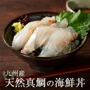 九州産 天然真鯛の海鮮丼 たい タイ 海鮮丼の具 セット 国産 株式会社ウエダ タビグルメ